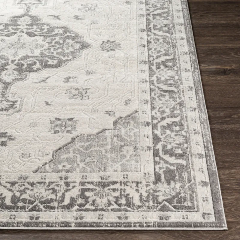 Remy 7'10" x 10' Rug