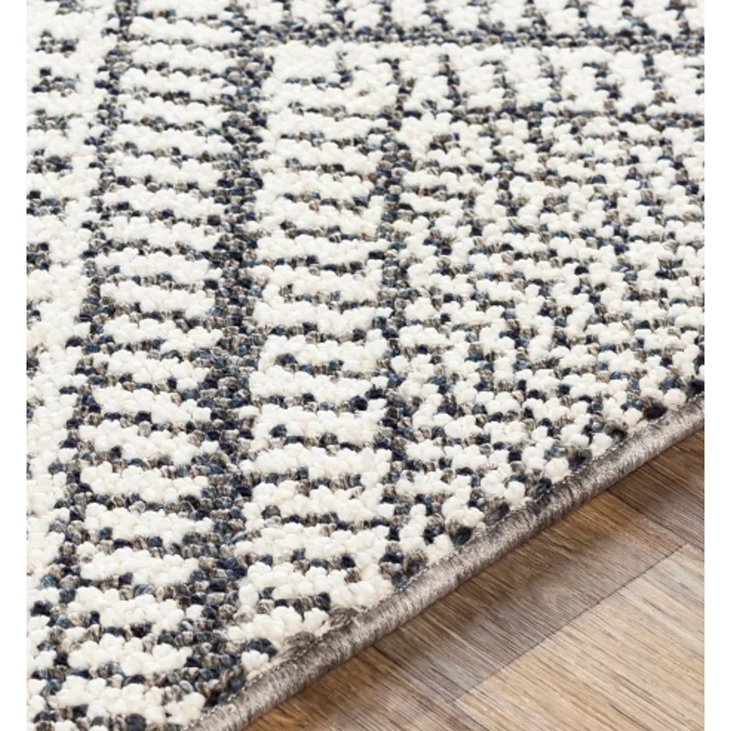 Ariana 2' x 3' Rug