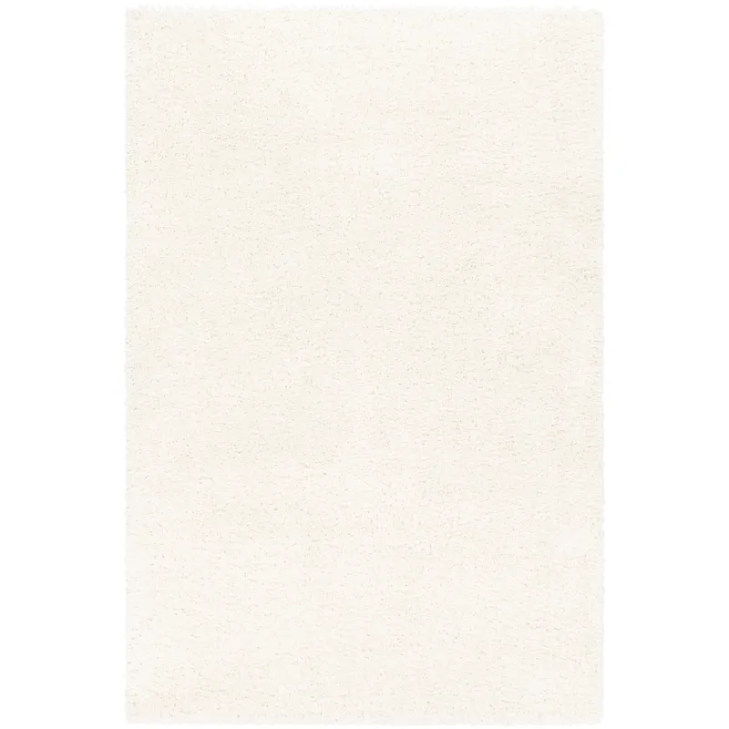 Deluxe shag 5'3" x 7'3" Rug
