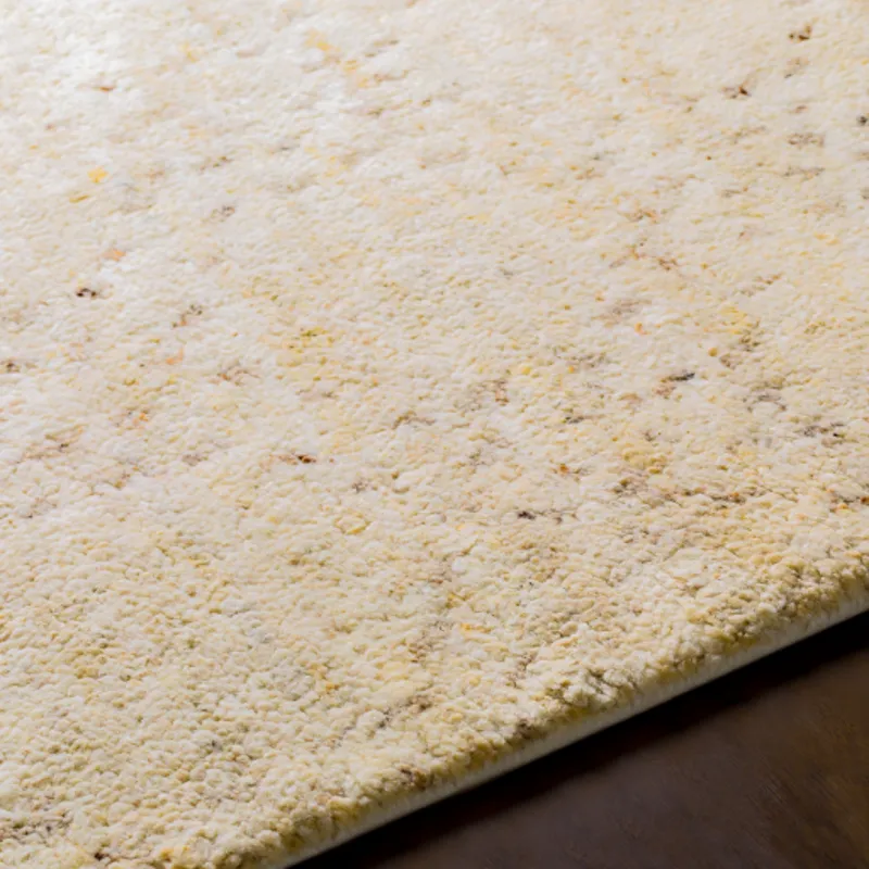 Pampa 2' x 3' Rug
