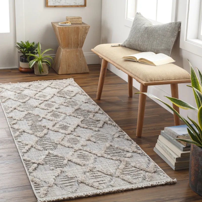 Zaragoza 2'7" x 7'3" Rug