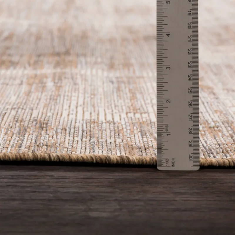 Santa Cruz 3'11" x 5'7" Rug