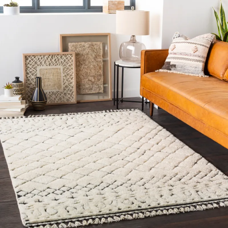 Meknes 2' x 3' Rug