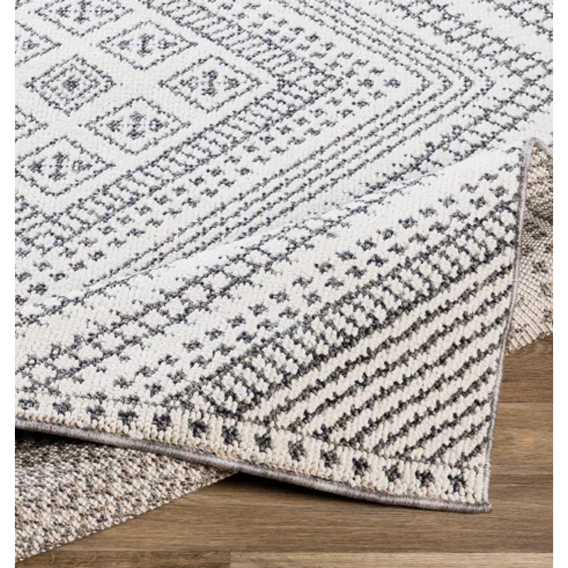Ariana 2' x 3' Rug
