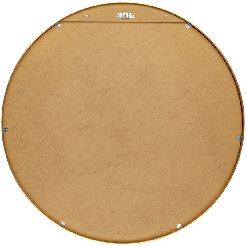 Aranya Mirror