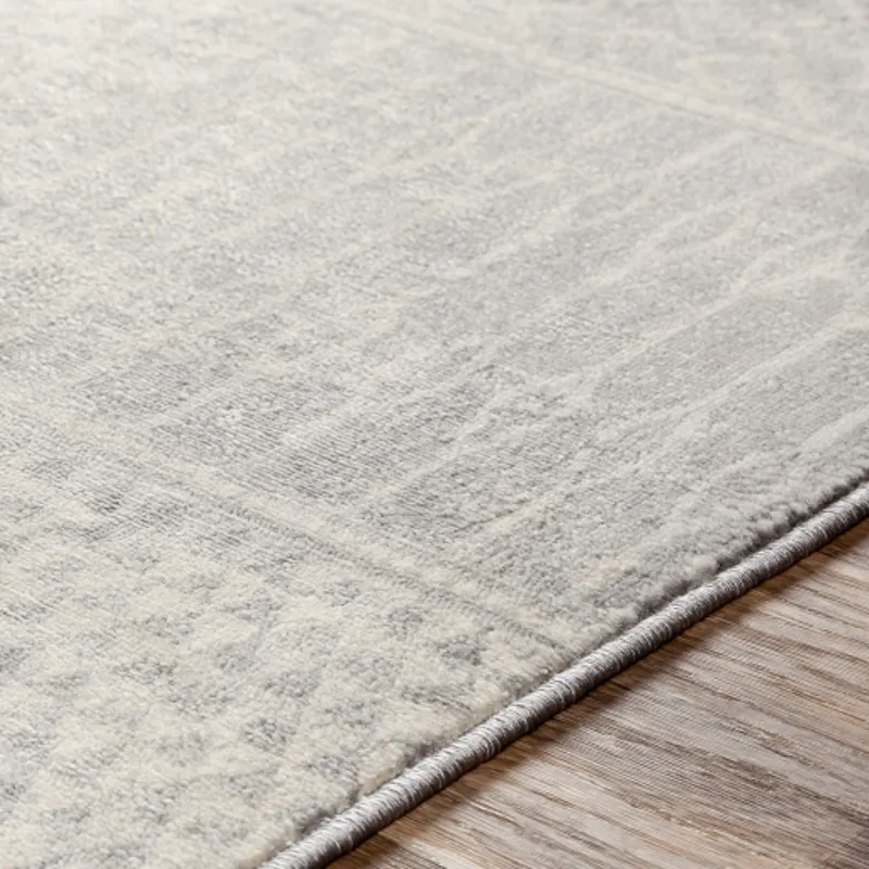 Monaco 2' x 3' Rug