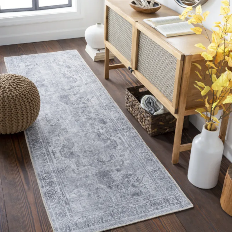 Tahmis 2'7" x 7'10" Rug