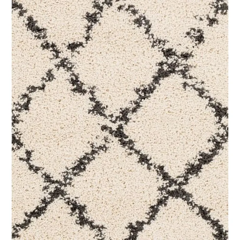 Berber Shag 6'7" x 9' Rug