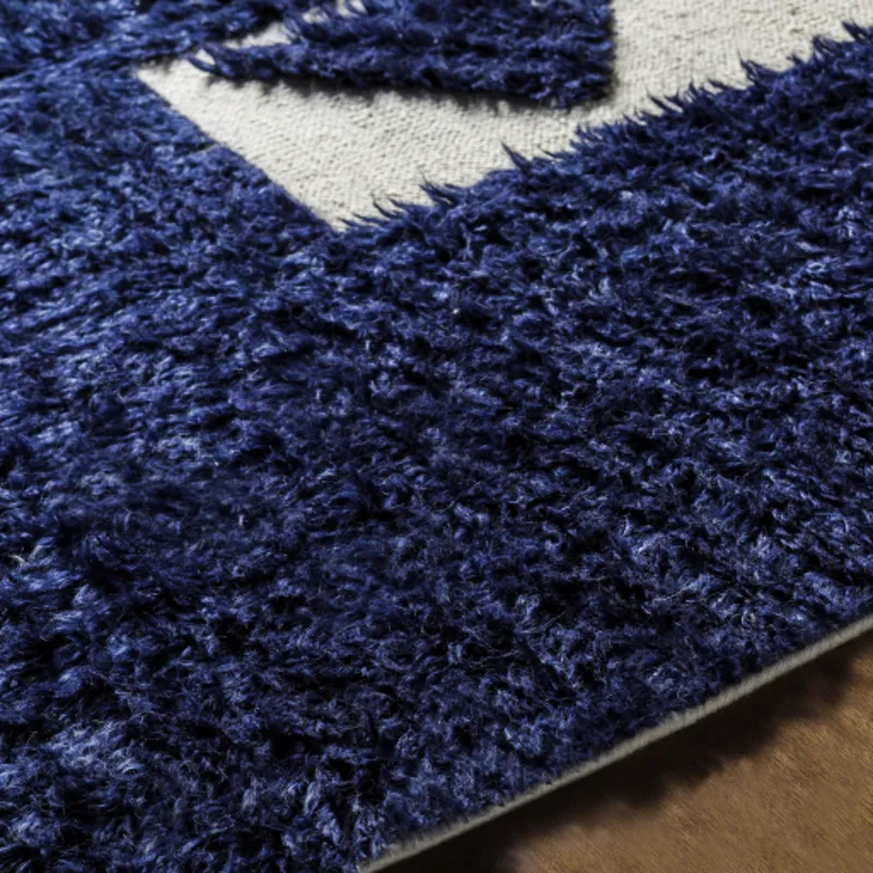 Sahara 8' x 10' Rug