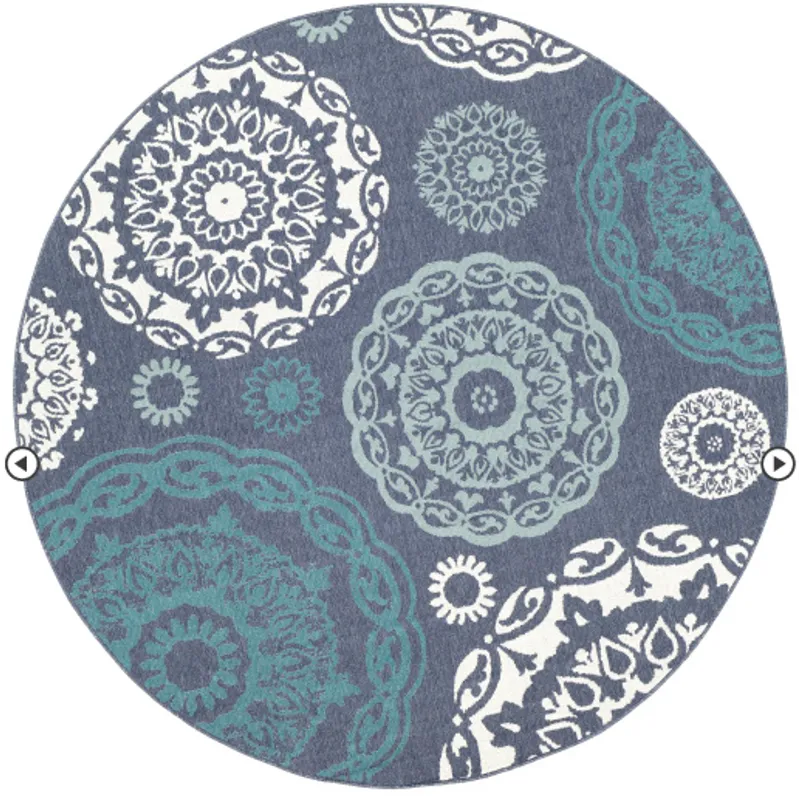 Alfresco 5'3" Round Rug