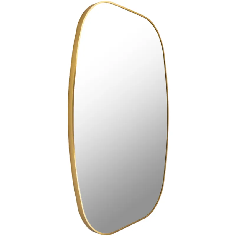 Aranya Mirror