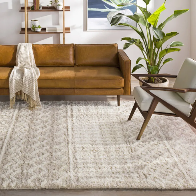 Urban Shag 10' x 14' Rug