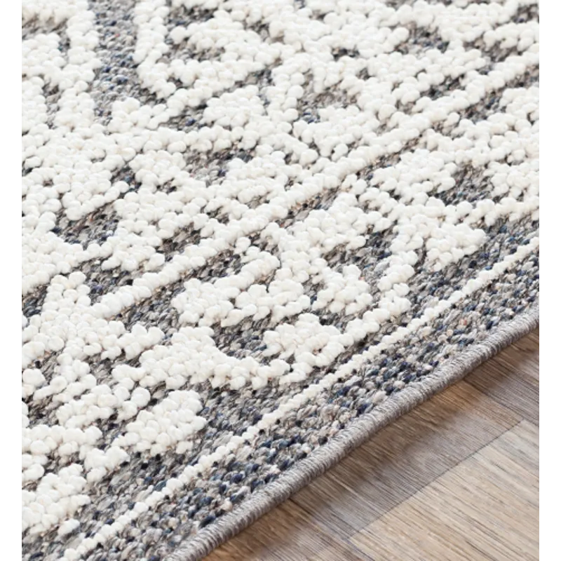 Ariana 2'3" x 3'9" Rug