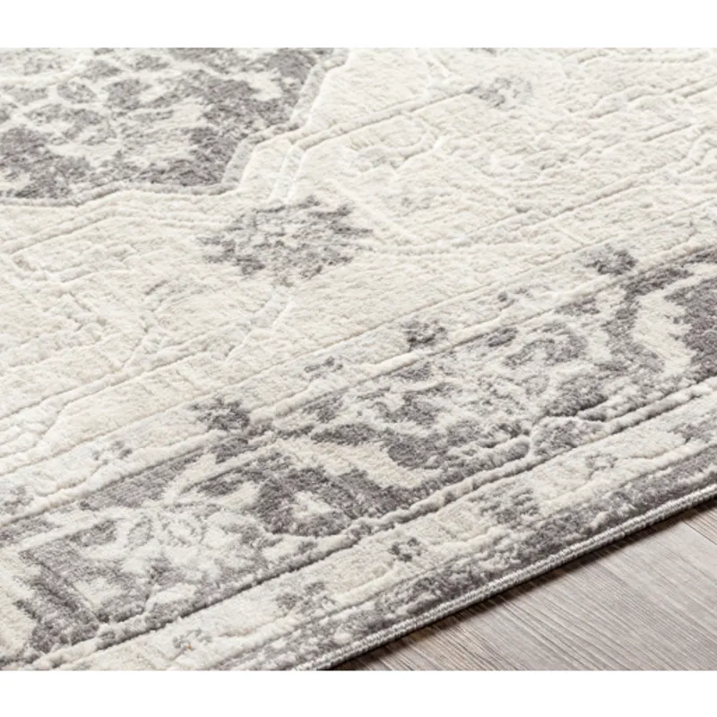 Remy 7'10" x 10' Rug