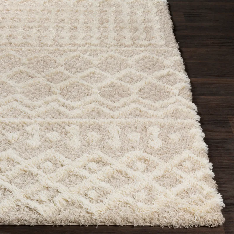 Urban Shag 4'3" x 5'7" Rug