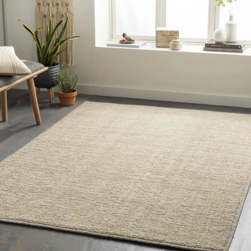 Viera 5' x 7'6" Rug