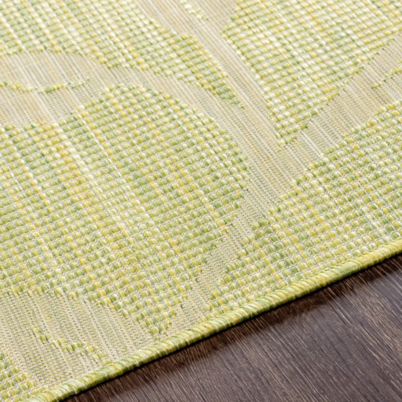 Pasadena 2'6" x 4' Rug