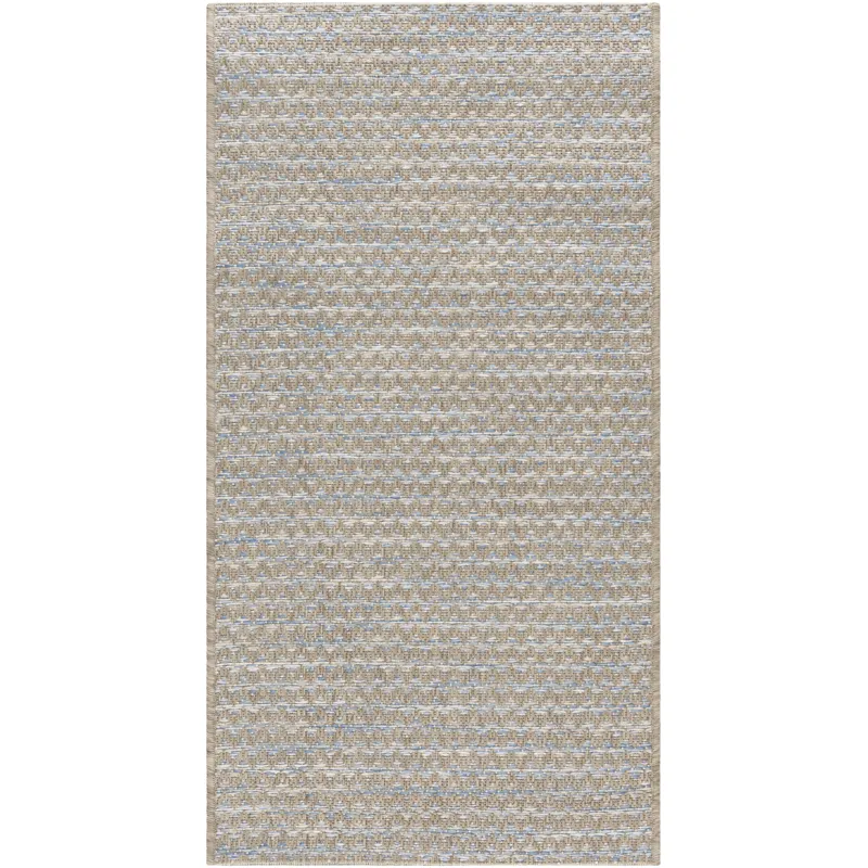 Santa Cruz 2' x 3'7" Rug