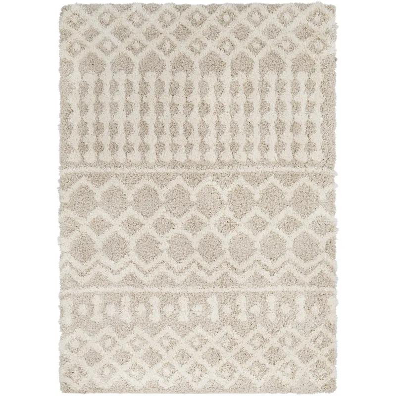 Urban Shag 5'3" x 7'3" Rug