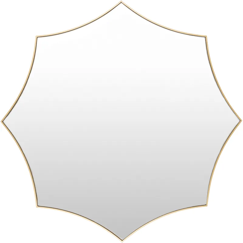 Virgo Mirror
