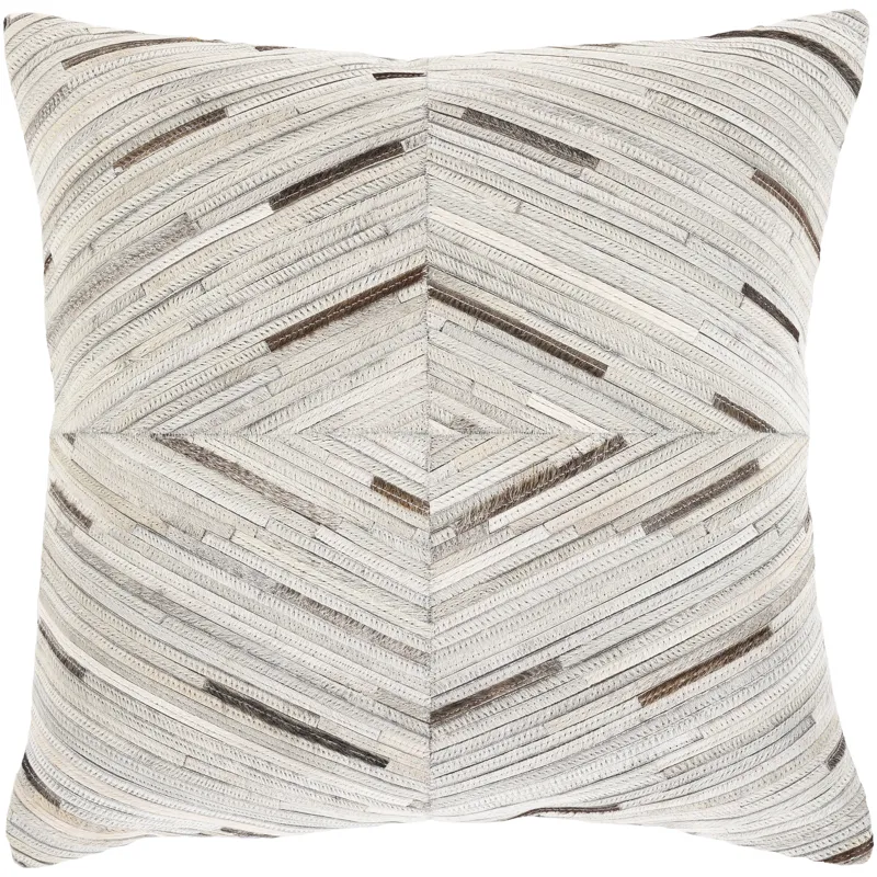 Zander 20" x 20" Pillow Cover