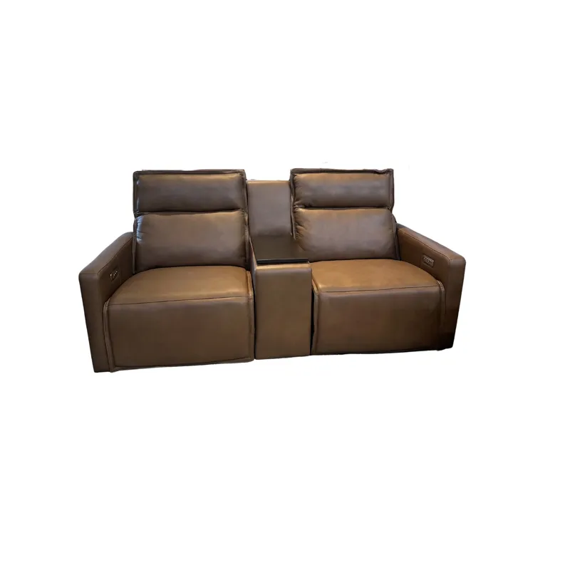 Rolland Leather Power Loveseat