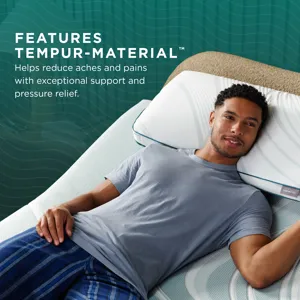 Adapt Prohi 2.0 Queen Pillow