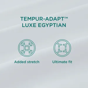 Linens TEMPUR Luxe Egyptian Cotton Pillowcase Set  White