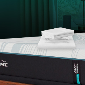 Linens TEMPUR Luxe Egyptian Cotton Pillowcase Set