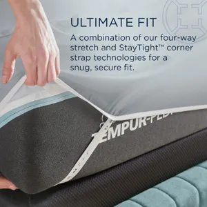 Linens TEMPUR Luxe Egyptian Cotton Pillowcase Set  Silver Mist