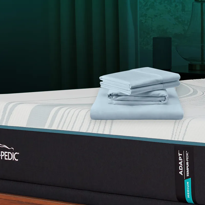 Linens TEMPUR Luxe Egyptian Cotton Pillowcase Set  Sleepy Blue