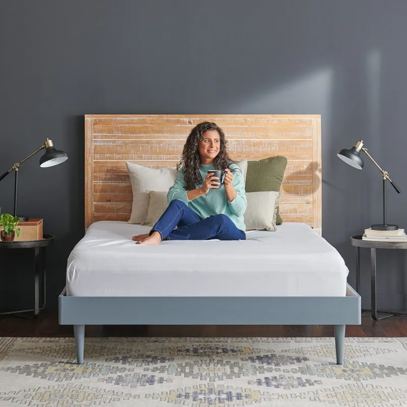 Protectors Tempur Mattress Protector