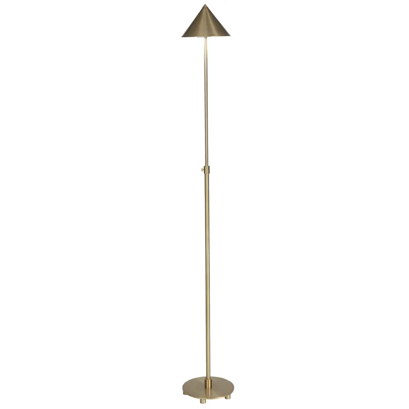 Library Brushed Brass Floor Lamp