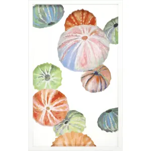 Sea Urchin I