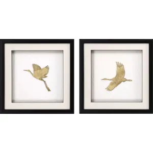 Flight Of Gold I S/2