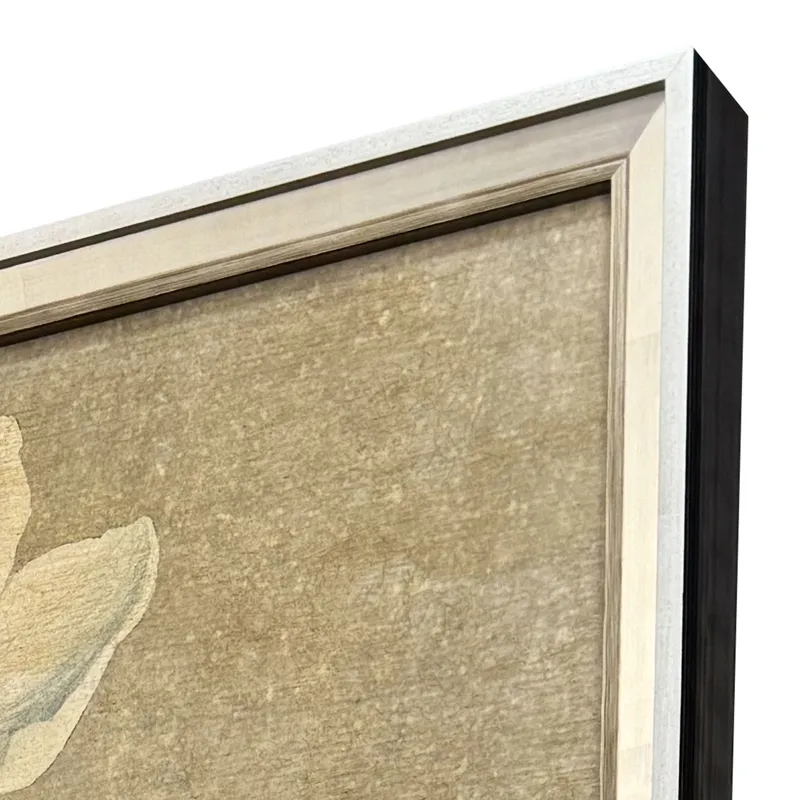 Anemones I Framed Art