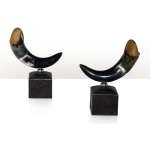 A pair of horn trophies Table Top Accessories