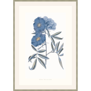 Art by TA Bouquet Blue 2