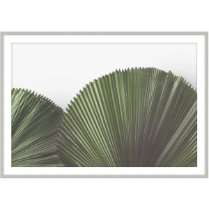 Art by TA Tropical Leaves 4