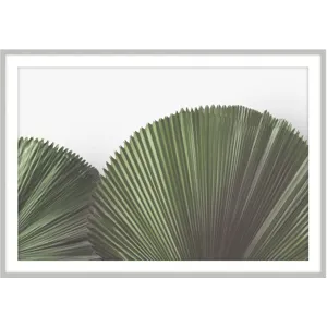 Art by TA Tropical Leaves 4