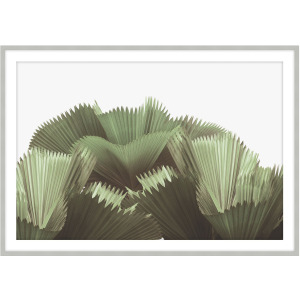 Art by TA Tropical Leaves 1