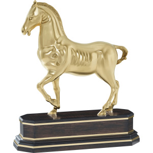 Spencer London Dressage