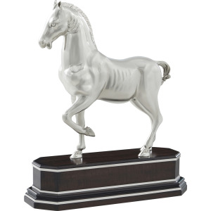 Spencer London Dressage