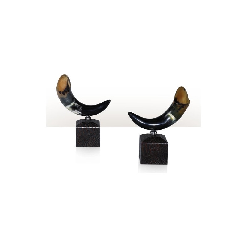 A pair of horn trophies Table Top Accessories