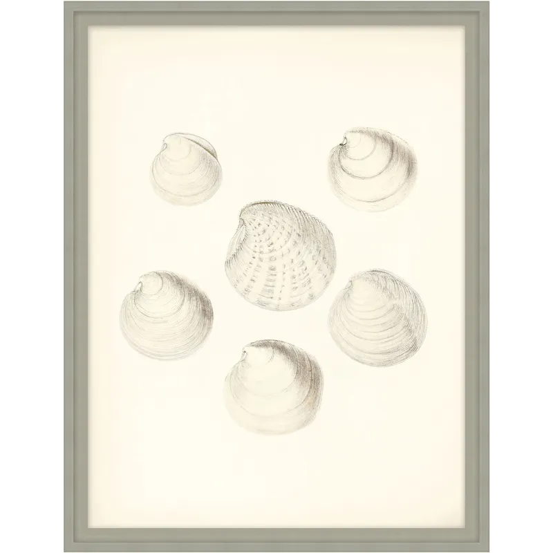 Art by TA Shore\'s Treasure 1