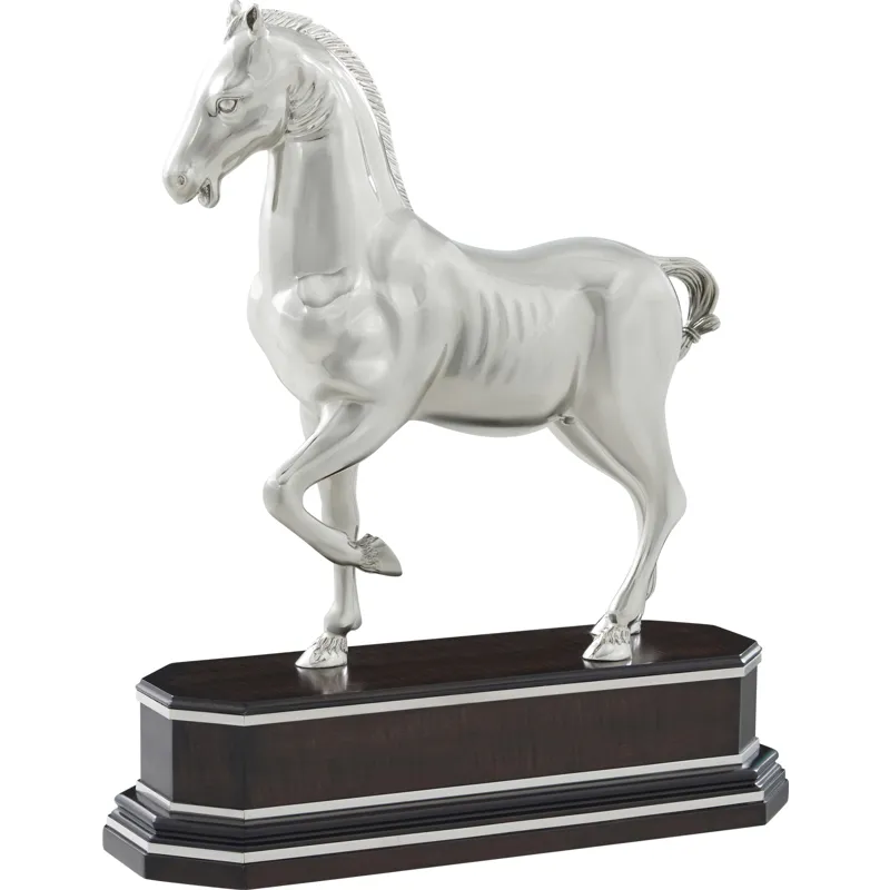 Spencer London Dressage