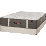 TheraLuxe HD Ice Rainier Cushion Firm Mattress