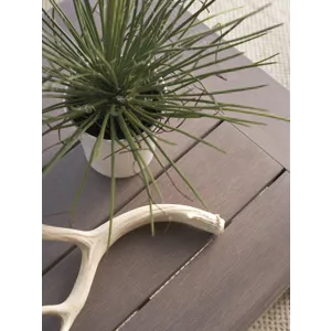 Mozambique Rect Cocktail Table