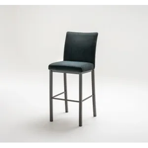 Biscaro Counter Height Stationary Bar Stool
