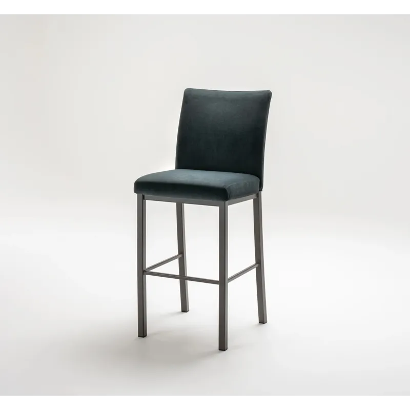Biscaro Counter Height Stationary Bar Stool